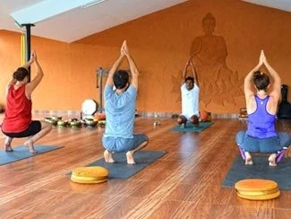 Customized Yoga Programs in Tirunelveli
